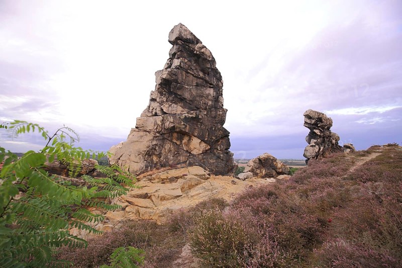 Eagle Rock and Heather