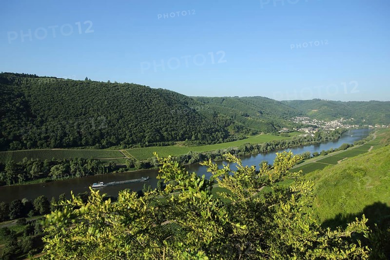 View of Moselle valley