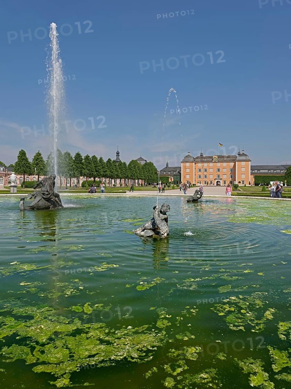 Palace garden