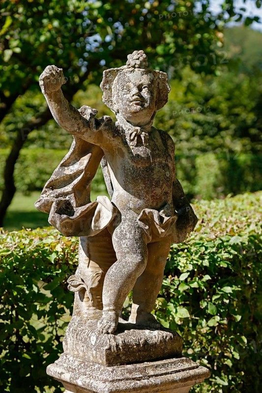 Cherub