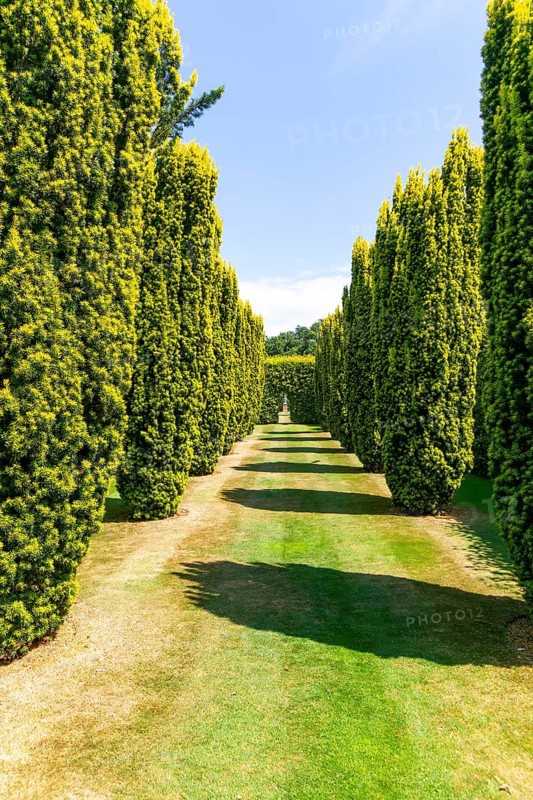 Green Court