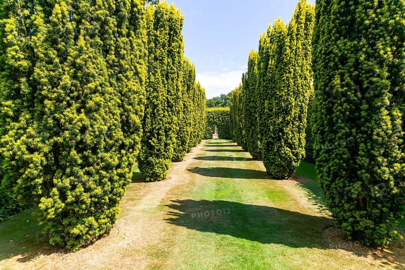 Green Court