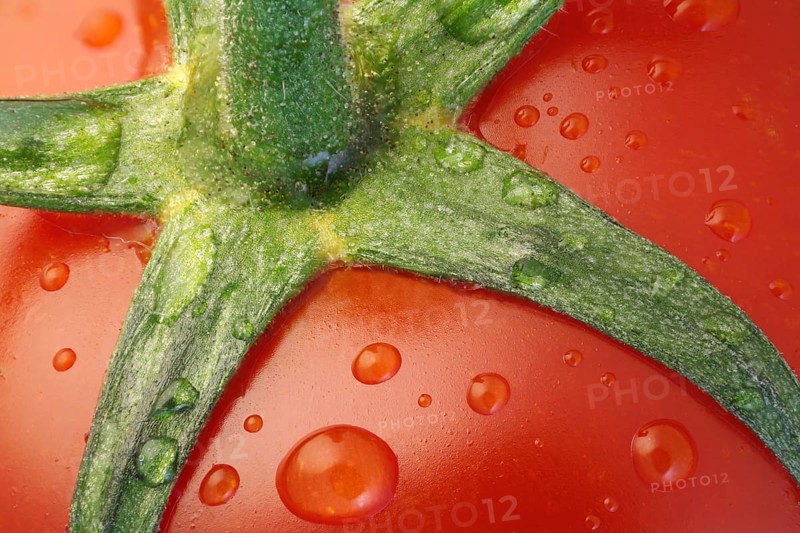 Detail of a ripe tomato