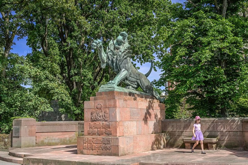 Lion