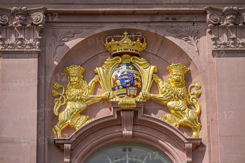 Lions