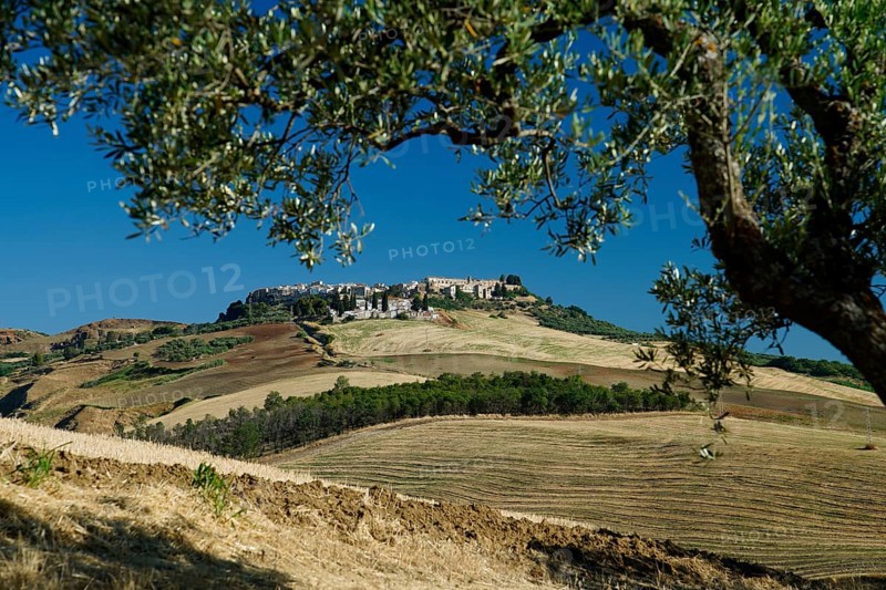 View of Irsina