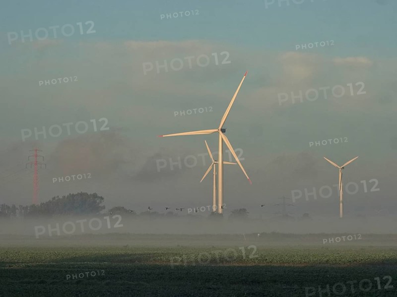 Wind turbines and power lines in the early morning fog. Ochsenwerder