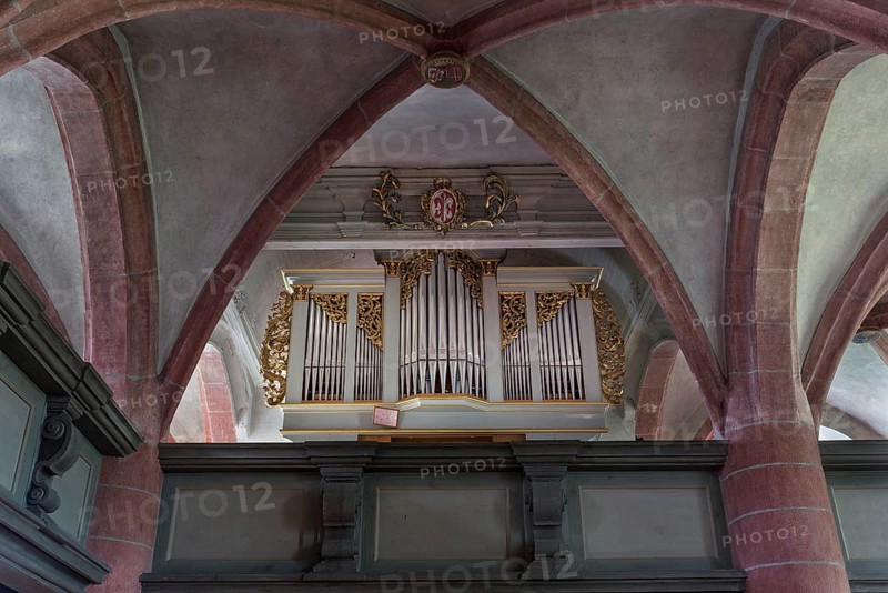 Organ