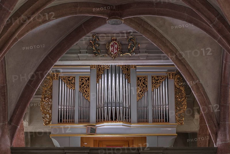 Organ