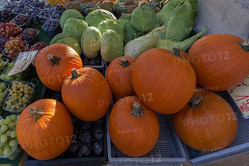 Hokkaido pumpkin