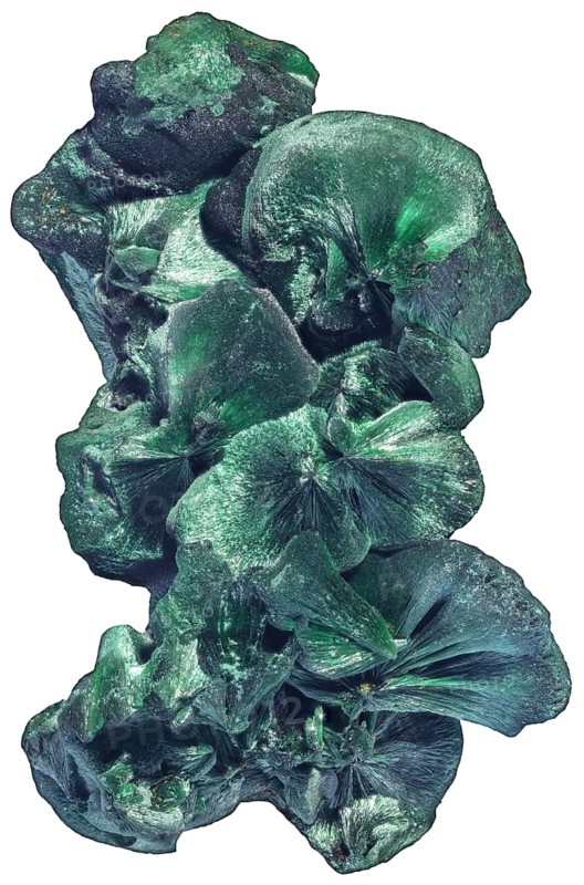 Malachite Fibrous Clusters