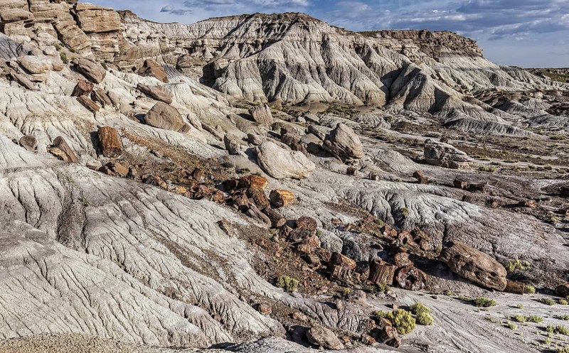 Petrified Forest National Park