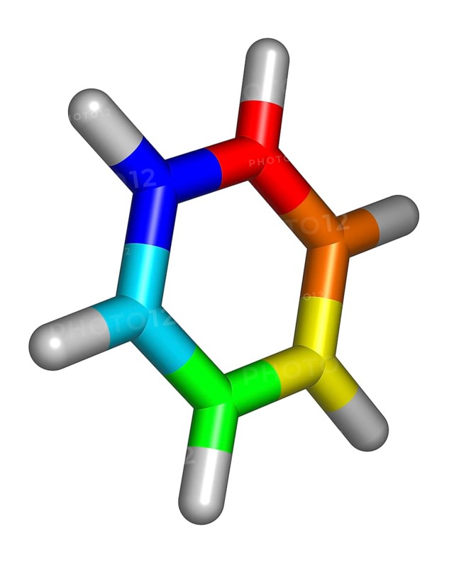 Benzene Molecule
