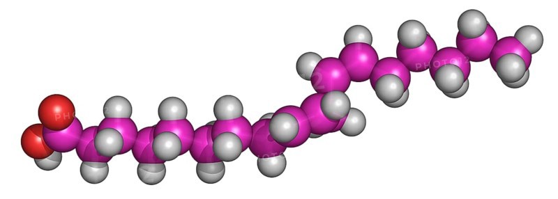 Linoleic Acid