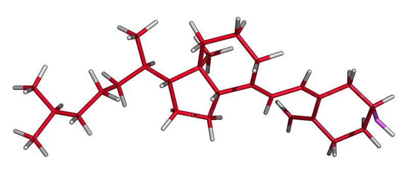 Cholecalciferol is a form of Vitamin D