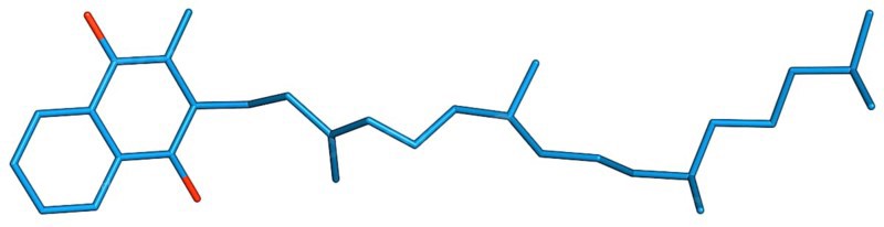 Vitamin K denotes a group of lipophilic