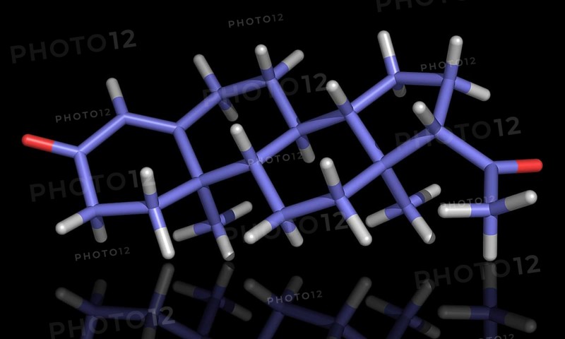 Progesterone is the pregnancy hormone secreted by the ovaries
