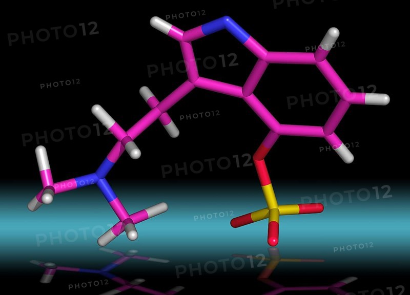 Psilocybin is a member of the tryptamine family
