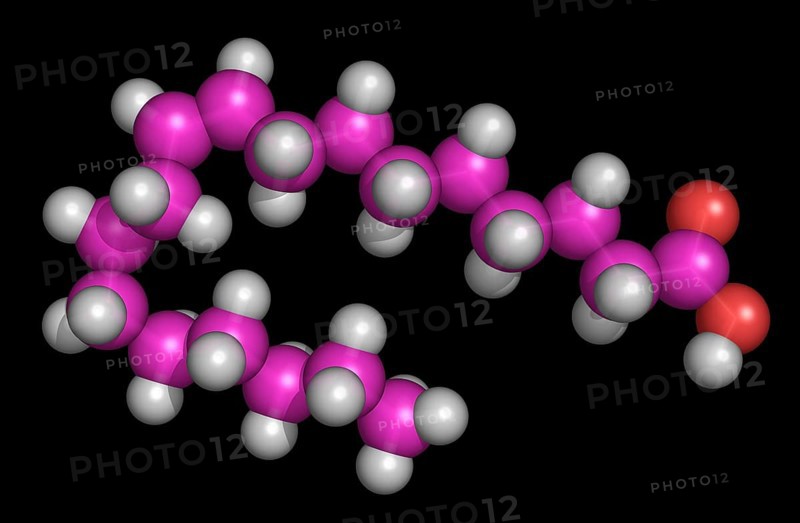 9-octadecenoic acid