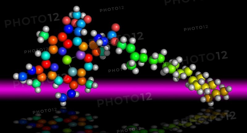 Molecule of Chlorophyll