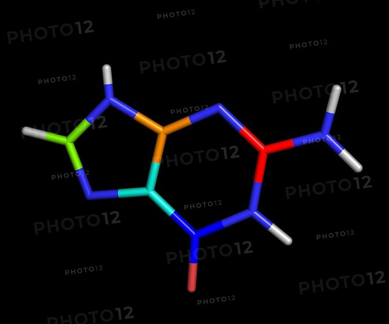 Guanine is one of the five main nucleobases found in the nucleic acids DNA and RNA. The others being adenine