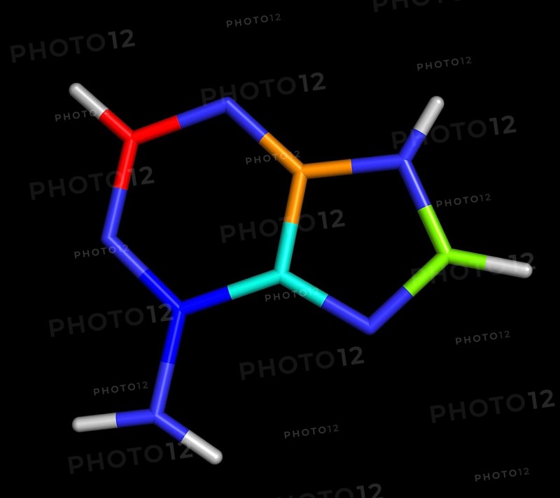 Adenine is a purine with a variety of roles in biochemistry including cellular respiration