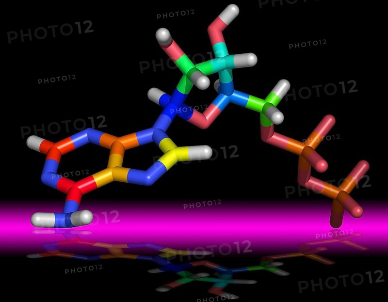 Adenosine diphosphate