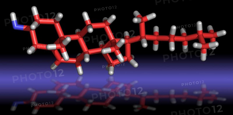 Cholesterol Molecule