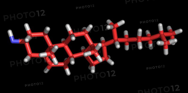 Cholesterol Molecule