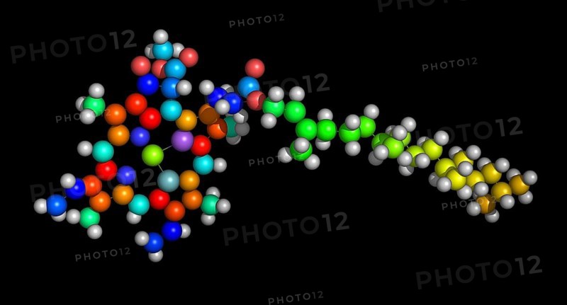 Molecule of Chlorophyll