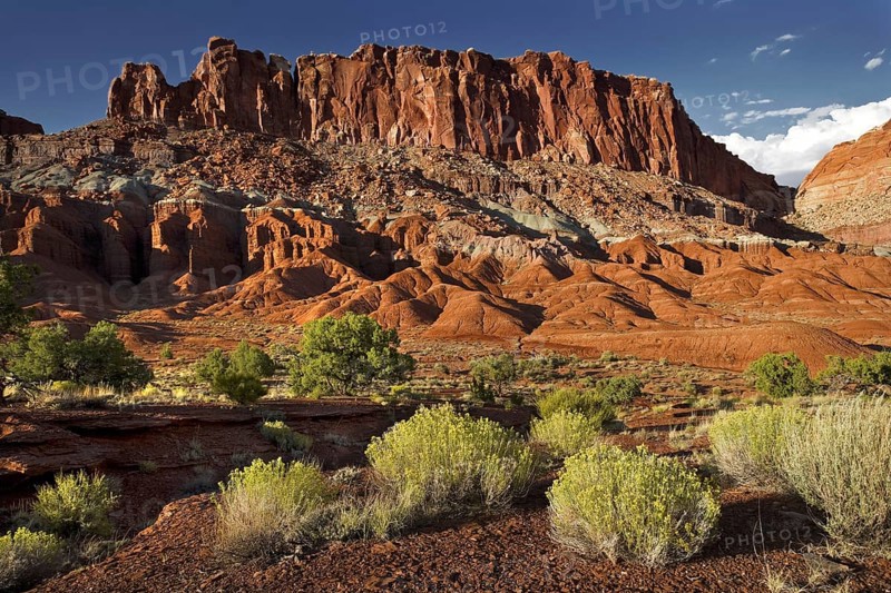 Capitol Reef National Park