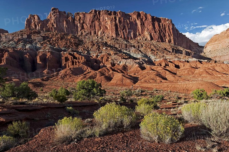 Capitol Reef National Park