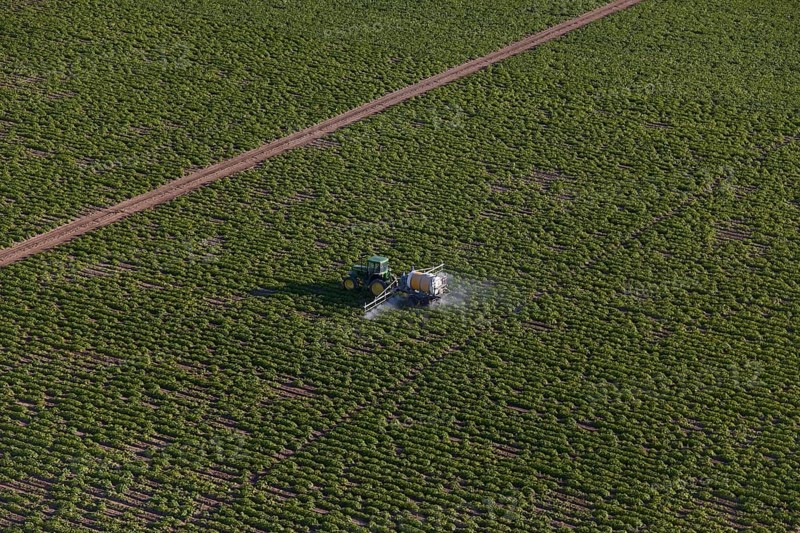 Spraying Liquid Ammonia on Crops