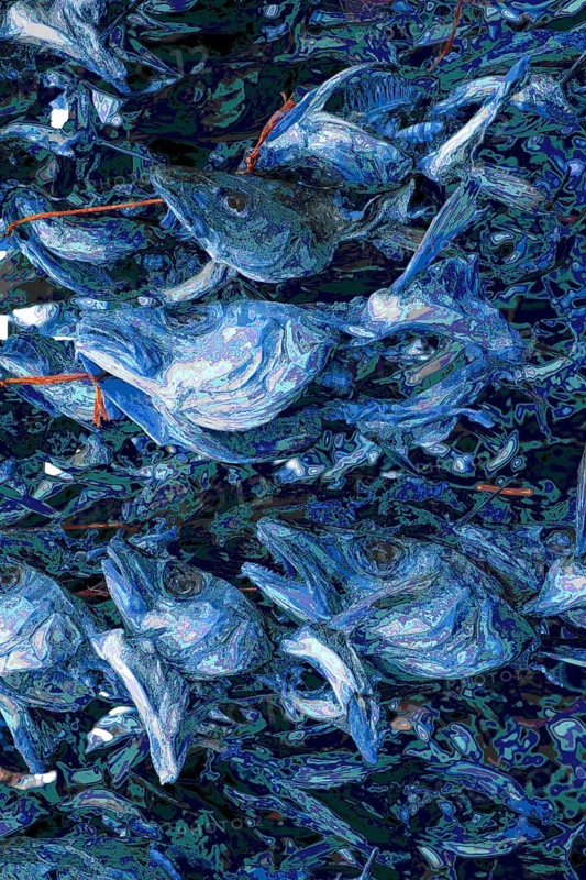 Codfish Heads Abstraction