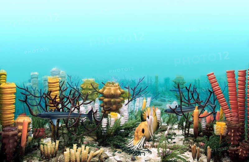 Ancient Sea