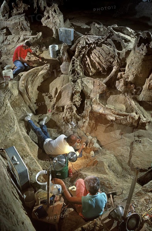Paleontologists Excavating Colombian Mammoth Remains