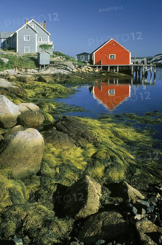 Peggy's Cove Reflections