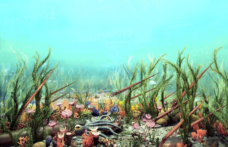 Ancient Ordovician Ocean