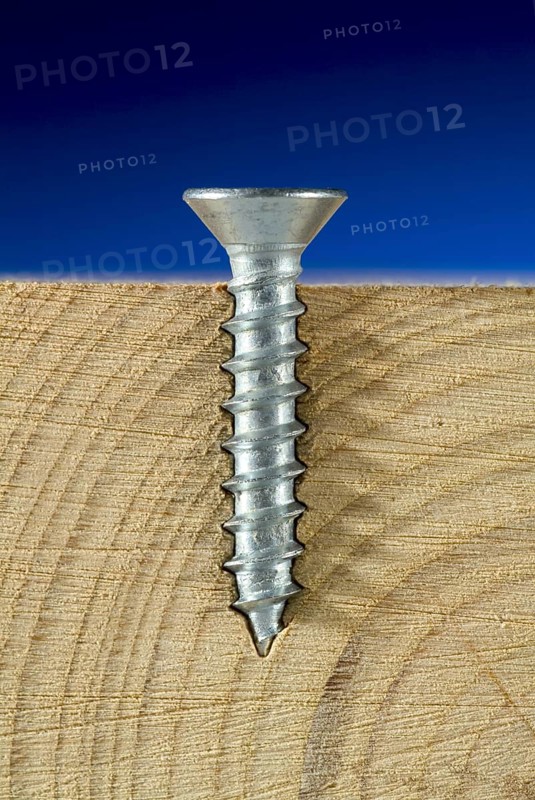 Wood Screw Cross Section Showing Threads