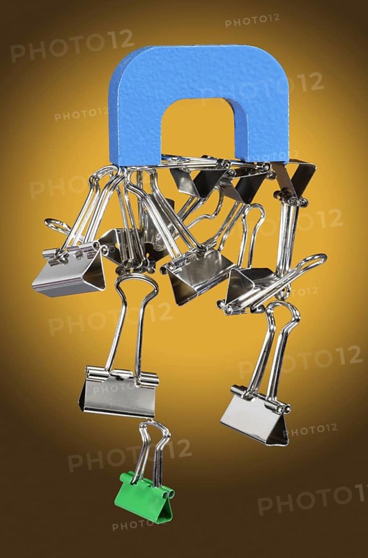 Alnico Horseshoe Magnet and Paper Clips