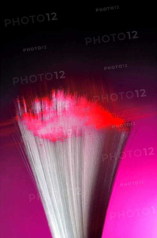 Light Fibers & Diode Laser Light