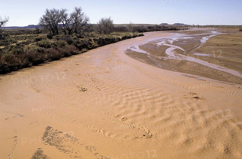 Water in the Desert