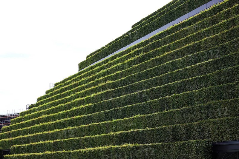 Largest green facade in Europe with eight kilometres of hornbeam hedges on Koe-Bogen II in Duesseldorf