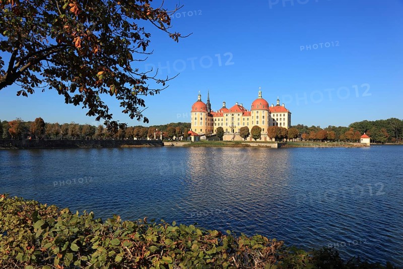 Moritzburg Castle