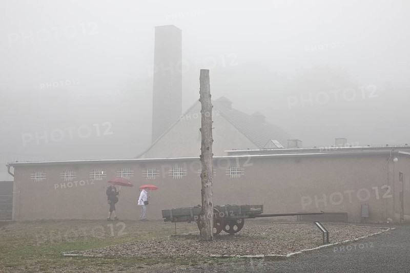 Stake and cart with crematorium in the fog at beech forest concentration camp