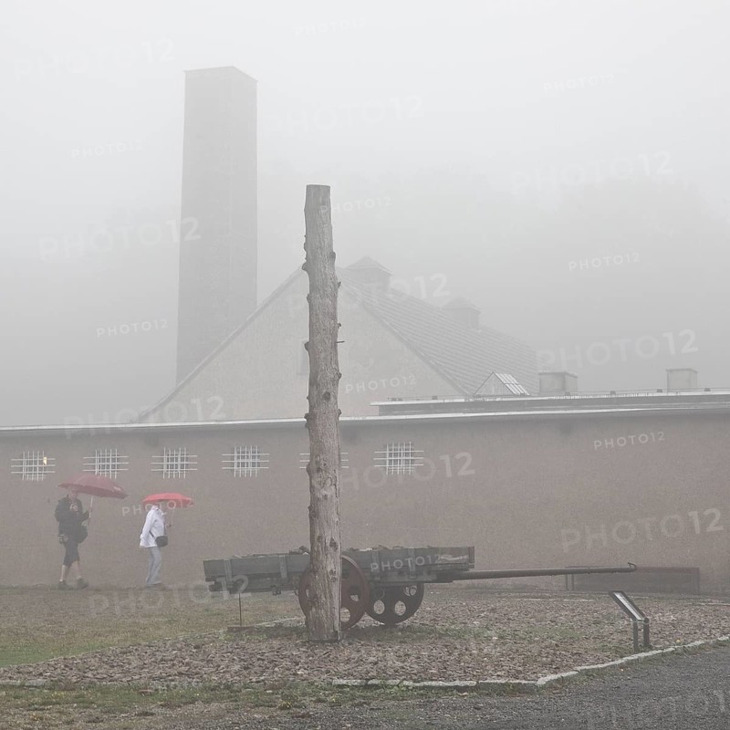 Stake and cart with crematorium in the fog at beech forest concentration camp