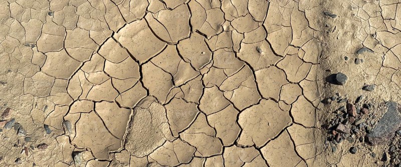 Clay soil with dry cracks