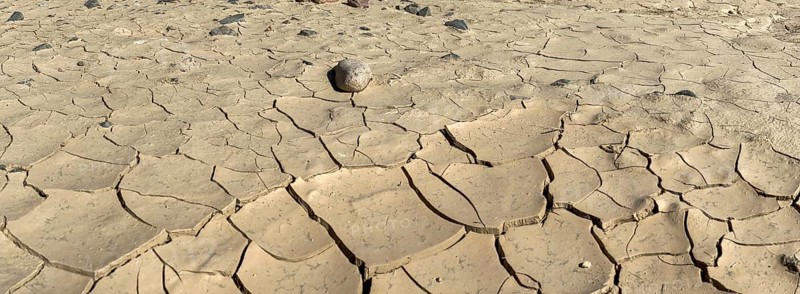 Clay soil with dry cracks