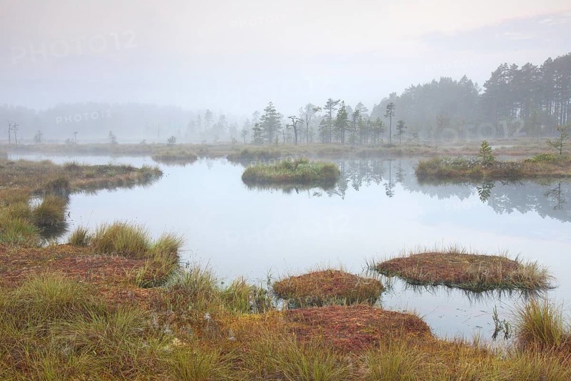 Pond in moorland of the Knuthoejdsmossen