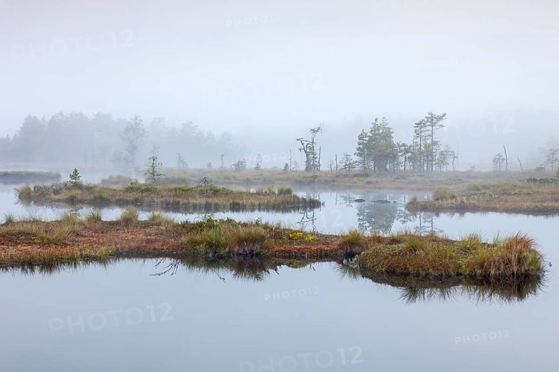 Pond in moorland of the Knuthoejdsmossen